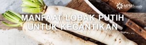 manfaat lobak putih