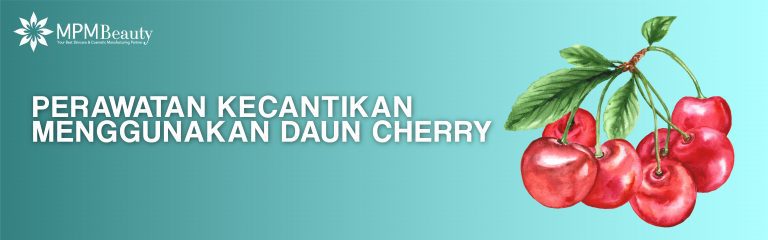 Daun Cherry