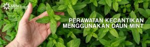 Read more about the article Perawatan Kecantikan Menggunakan Daun Mint