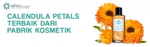 pabrik kosmetik