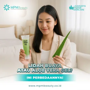 Lidah Buaya Aloe Vera