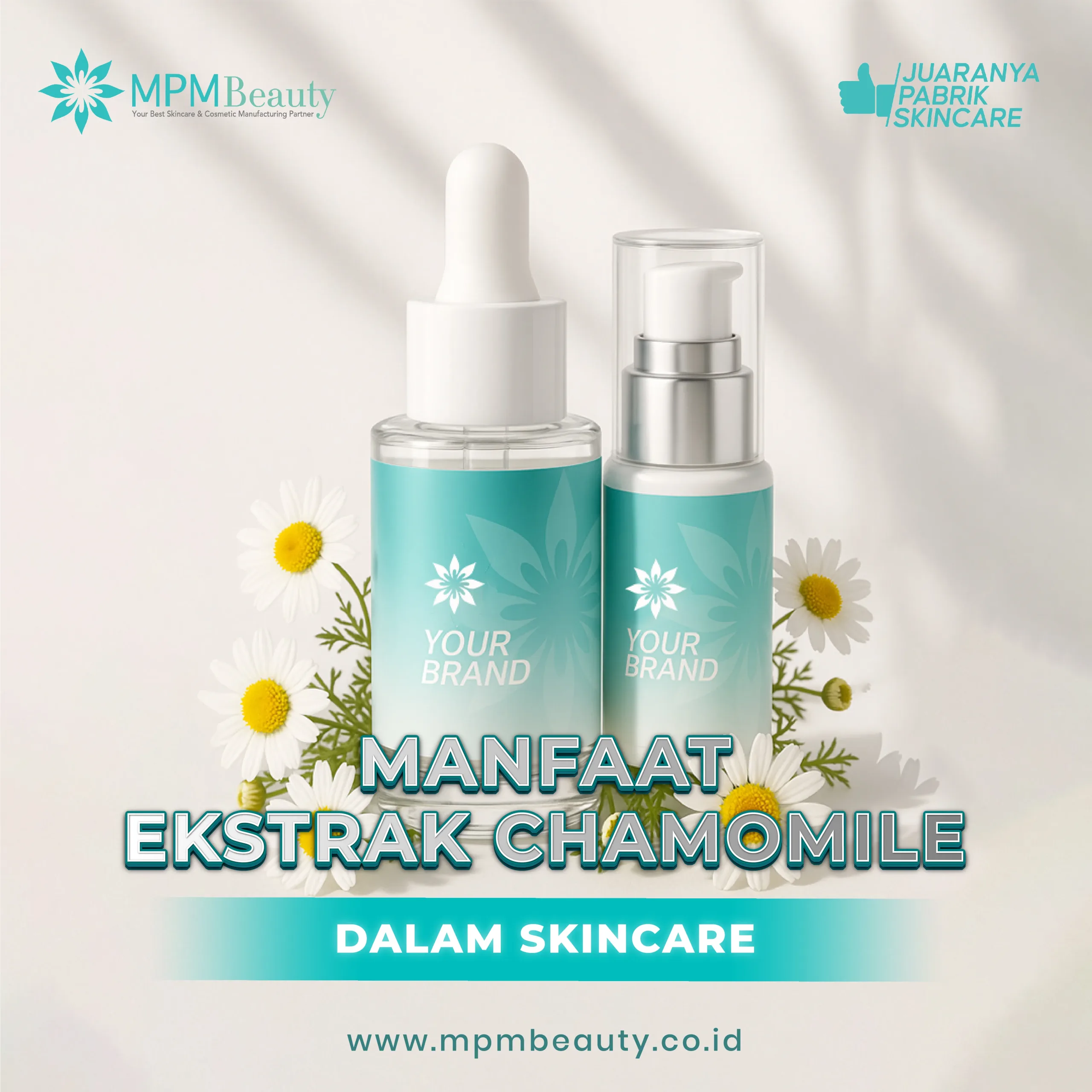 Ekstrak chamomile