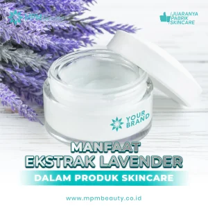 Manfaat Ekstrak Lavender