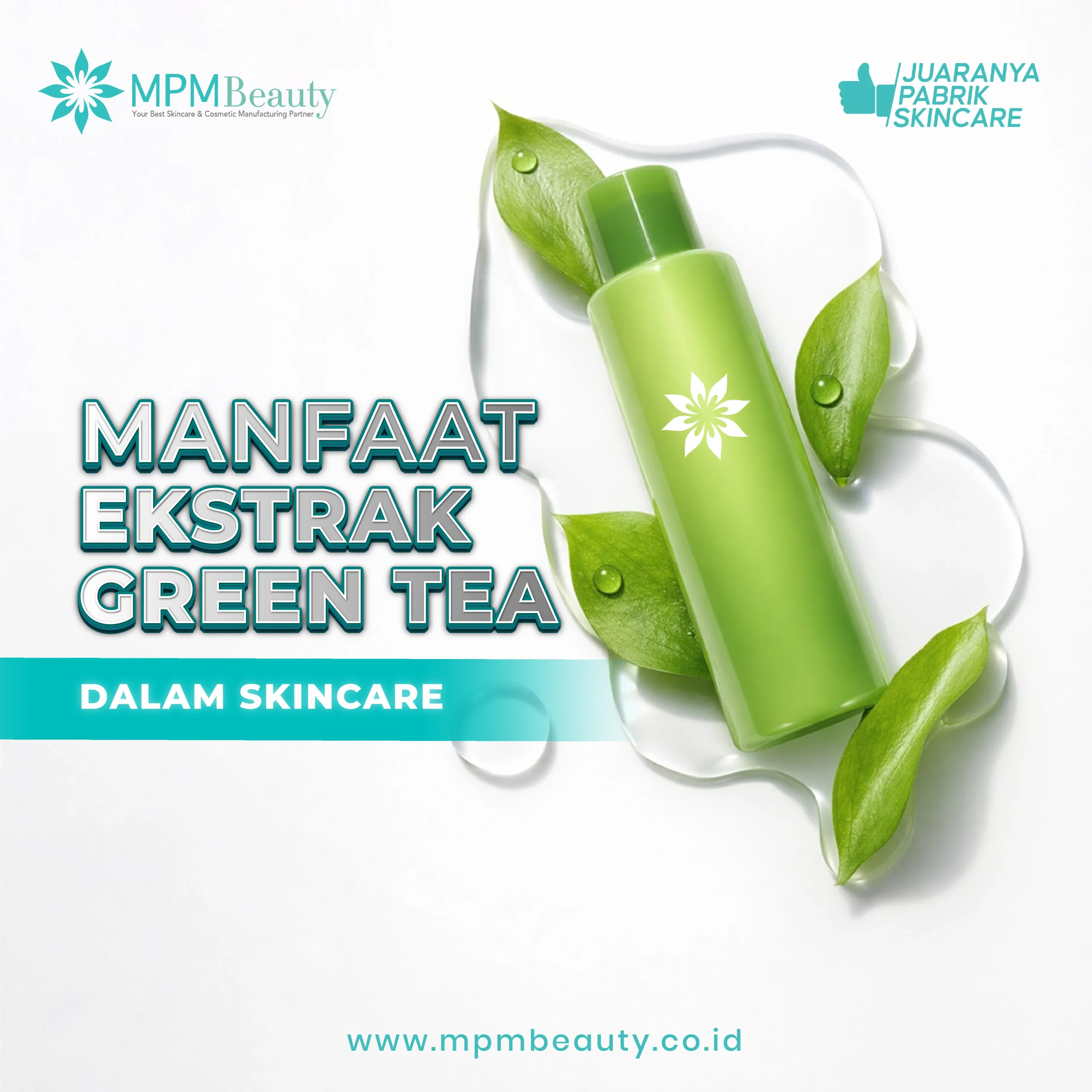 Ekstrak Green Tea