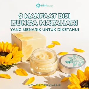 Manfaat Biji Bunga Matahari